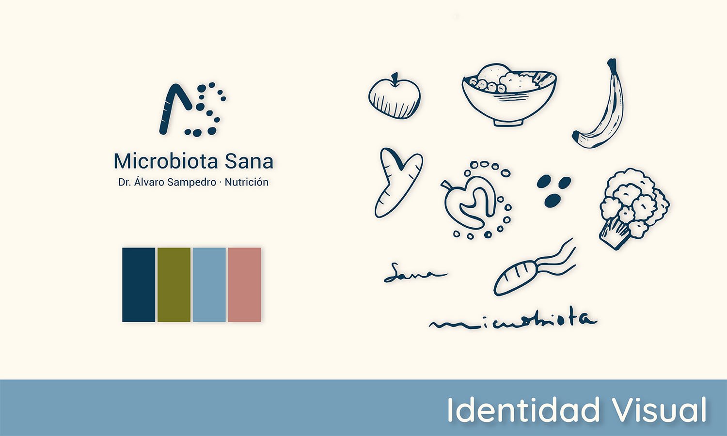 imagen de la identidad visual de microbiota sana