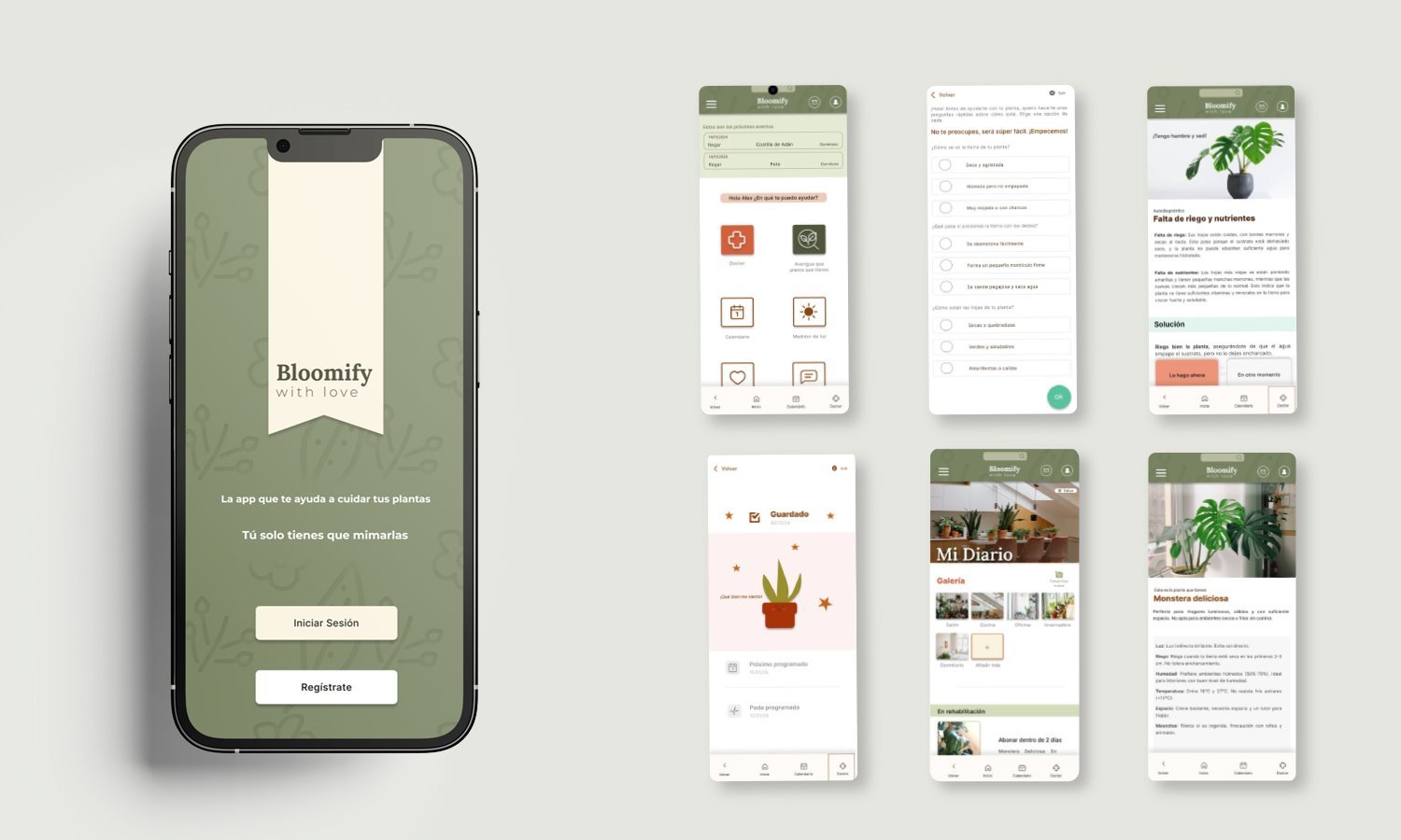imagen de la portada y las pantallas de la app de Bloomify