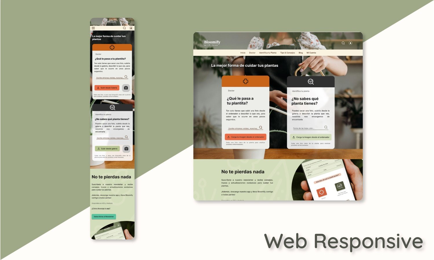 imagen de la web responsive de Bloomify