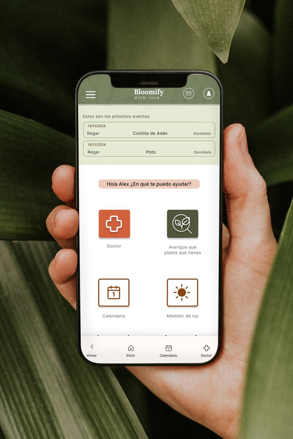 Proyecto app Bloomify