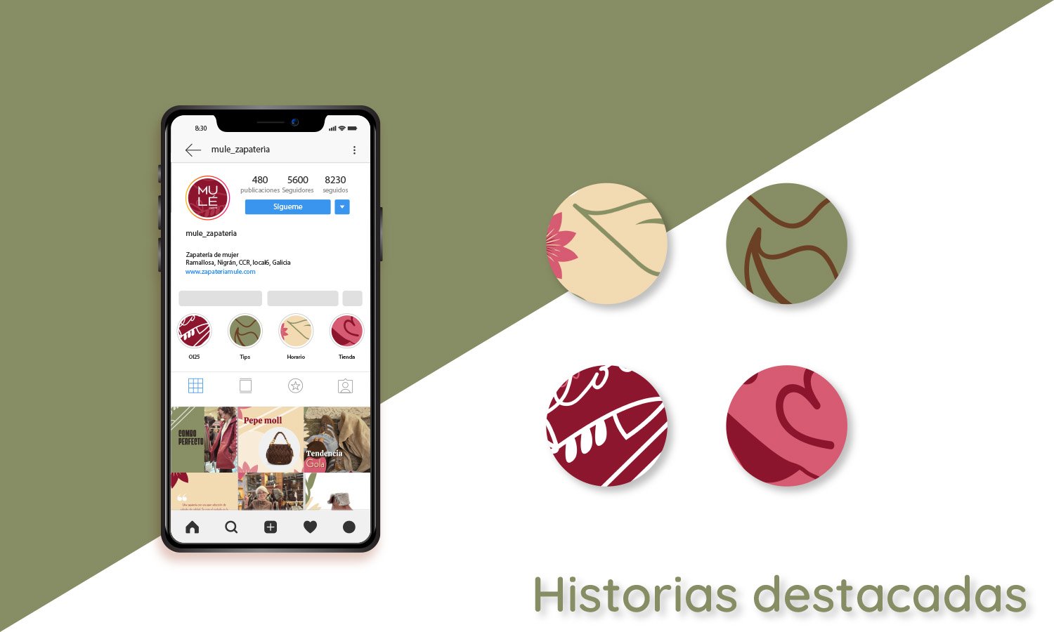 imagen del diseño social media de mulé